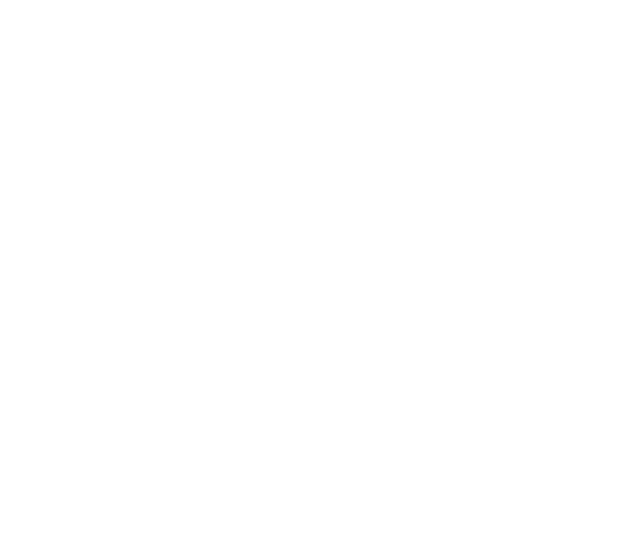 Joy Producion